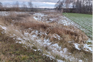 Działka na sprzedaż 10000m2 żyrardowski Wiskitki Starowiskitki - zdjęcie 2