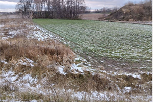 Działka na sprzedaż 10000m2 żyrardowski Wiskitki Starowiskitki - zdjęcie 3