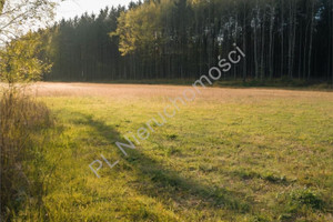 Działka na sprzedaż 19031m2 grodziski Żabia Wola Zalesie - zdjęcie 1