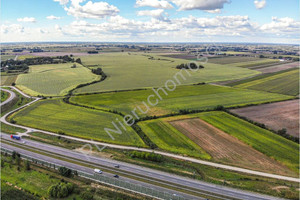 Działka na sprzedaż 7100m2 grodziski Grodzisk Mazowiecki Chlebnia - zdjęcie 3