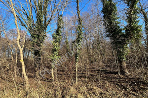 Działka na sprzedaż 22212m2 grodziski Grodzisk Mazowiecki Czarny Las - zdjęcie 1