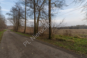 Działka na sprzedaż 8800m2 grodziski Jaktorów Stare Budy - zdjęcie 2