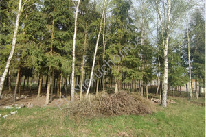 Działka na sprzedaż 1300m2 grodziski Żabia Wola Osowiec - zdjęcie 1