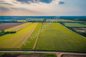 Działka na sprzedaż 18839m2 grodziski Grodzisk Mazowiecki Chrzanów Duży - zdjęcie 1