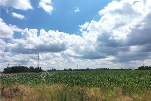 Działka na sprzedaż 14700m2 grodziski Grodzisk Mazowiecki Zabłotnia - zdjęcie 1