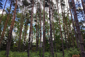 Działka na sprzedaż 2000m2 grodziski Żabia Wola Bieniewiec - zdjęcie 1