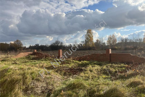 Działka na sprzedaż 10800m2 grodziski Grodzisk Mazowiecki Kozerki - zdjęcie 1