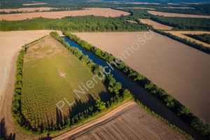 Działka na sprzedaż 3778m2 grodziski Grodzisk Mazowiecki Chlebnia - zdjęcie 3