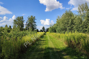 Działka na sprzedaż 3186m2 pruszkowski Brwinów Milęcin - zdjęcie 4