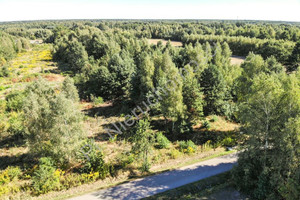 Działka na sprzedaż 11000m2 grodziski Żabia Wola Słubica A - zdjęcie 1