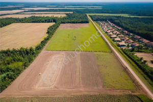 Działka na sprzedaż 5000m2 pruszkowski Brwinów Domaniew - zdjęcie 1