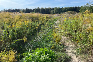 Działka na sprzedaż 1500m2 grodziski Grodzisk Mazowiecki Książenice - zdjęcie 3