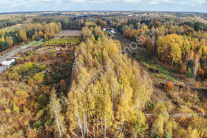 Działka na sprzedaż 10114m2 grodziski Żabia Wola Słubica A - zdjęcie 1