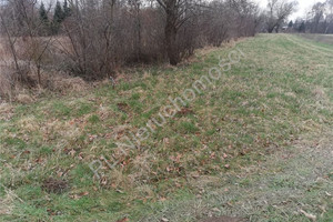 Działka na sprzedaż 5000m2 grodziski Baranów Holendry Baranowskie - zdjęcie 1