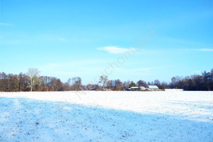 Działka na sprzedaż 5000m2 grodziski Baranów Holendry Baranowskie - zdjęcie 2