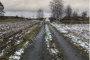 Działka na sprzedaż 10000m2 żyrardowski Wiskitki Starowiskitki - zdjęcie 1