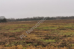 Działka na sprzedaż 2625m2 grodziski Grodzisk Mazowiecki Chrzanów Mały - zdjęcie 1