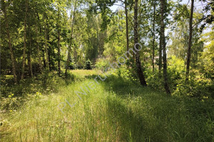 Działka na sprzedaż 1800m2 grodziski Grodzisk Mazowiecki Czarny Las - zdjęcie 1