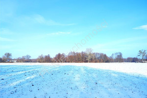 Działka na sprzedaż 5000m2 grodziski Baranów Holendry Baranowskie - zdjęcie 3