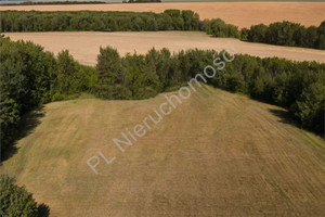 Działka na sprzedaż 3778m2 grodziski Grodzisk Mazowiecki Chlebnia - zdjęcie 2