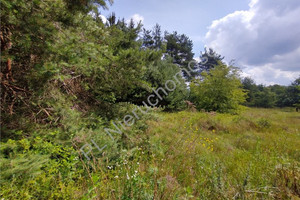 Działka na sprzedaż 1840m2 grodziski Żabia Wola Musuły - zdjęcie 3