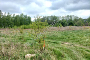 Działka na sprzedaż 6800m2 grodziski Grodzisk Mazowiecki Książenice - zdjęcie 2