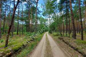 Działka na sprzedaż 23100m2 wołomiński Radzymin Łosie - zdjęcie 1