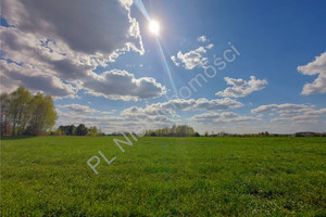 Działka na sprzedaż 19100m2 wołomiński Poświętne Turze - zdjęcie 3