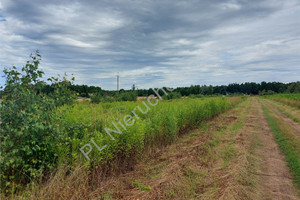 Działka na sprzedaż 1500m2 wołomiński Strachówka Równe - zdjęcie 3