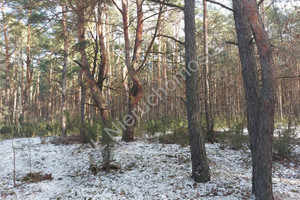 Działka na sprzedaż 26600m2 wołomiński Radzymin - zdjęcie 1