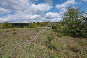 Działka na sprzedaż 1100m2 wołomiński Dąbrówka Sokołówek - zdjęcie 2