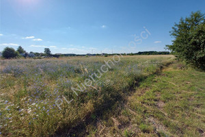 Działka na sprzedaż 4242m2 wołomiński Radzymin Stare Załubice - zdjęcie 1