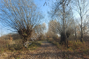 Działka na sprzedaż 955m2 wołomiński Wołomin Nowe Lipiny - zdjęcie 1