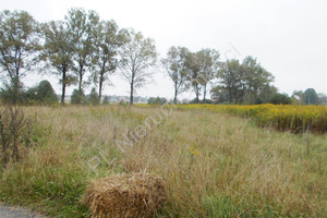 Działka na sprzedaż 1726m2 wołomiński Poświętne - zdjęcie 2