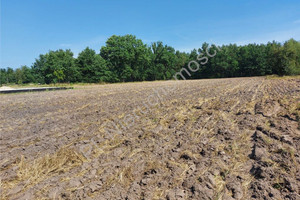 Działka na sprzedaż 1041m2 wołomiński Poświętne Nadbiel - zdjęcie 2