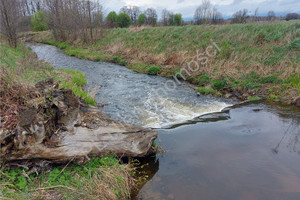 Działka na sprzedaż 6209m2 wołomiński Poświętne Laskowizna - zdjęcie 2