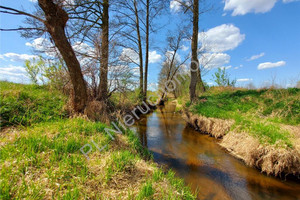 Działka na sprzedaż 19100m2 wołomiński Poświętne Turze - zdjęcie 1