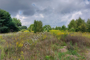 Działka na sprzedaż 12244m2 wołomiński Dąbrówka Czarnów - zdjęcie 3