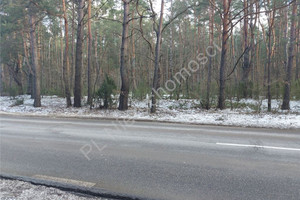 Działka na sprzedaż 26600m2 wołomiński Radzymin - zdjęcie 3