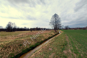 Działka na sprzedaż 3300m2 wołomiński Poświętne Czubajowizna - zdjęcie 1