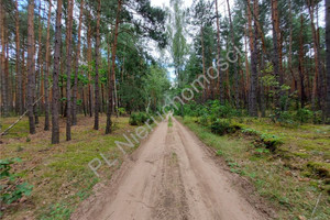 Działka na sprzedaż 23100m2 wołomiński Radzymin Łosie - zdjęcie 1