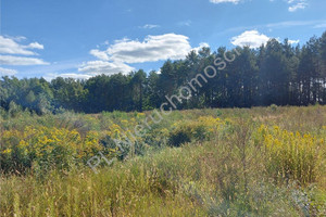 Działka na sprzedaż 1300m2 wołomiński Poświętne Nadbiel - zdjęcie 3