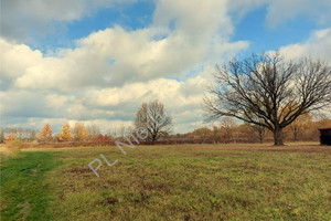 Działka na sprzedaż 7522m2 wołomiński Wołomin Duczki - zdjęcie 2