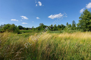 Działka na sprzedaż 8490m2 wołomiński Jadów Zawiszyn - zdjęcie 2