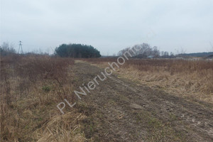 Działka na sprzedaż 10972m2 wołomiński Radzymin Nadma - zdjęcie 2