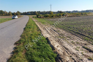 Działka na sprzedaż 1604m2 wołomiński Dąbrówka Kuligów - zdjęcie 3