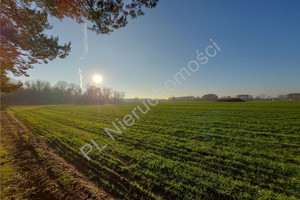 Działka na sprzedaż 954m2 wołomiński Radzymin Emilianów - zdjęcie 2