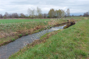 Działka na sprzedaż 6209m2 wołomiński Poświętne Laskowizna - zdjęcie 2