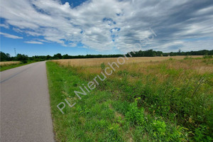 Działka na sprzedaż 1500m2 wołomiński Strachówka Równe - zdjęcie 2