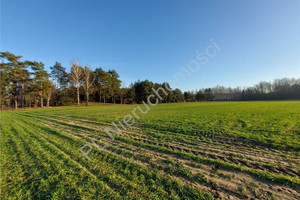 Działka na sprzedaż 957m2 wołomiński Radzymin Emilianów - zdjęcie 3